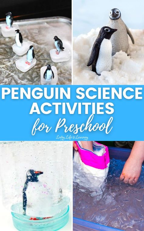 Penguin Science Activities for Preschoolers Penguin Activity Preschool, Penguins Activities For Preschoolers, Penguin Stem Activities For Kids, Preschool Penguin Theme, Penguin Science Experiment, Penguin Stem Activities, Penguin Games For Kids, Penguin Experiment, Penguin Stem