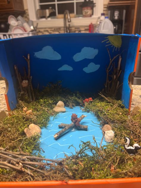 Bug Diorama, Ecosystem Project, Shoe Box Diorama, Habitat Project, Biomes Project, Shoe Box Diy, Ecosystems Projects, Shoe Box Crafts, Habitats Projects