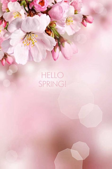 Hello Spring with flowers .... Hello Spring, The Words, Pink Flowers, Flowers, Pink, White