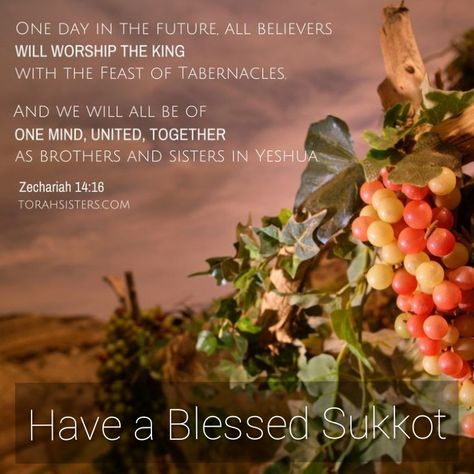 Festival Of Tabernacles, Sukkot Decorations, Sukkot Recipes, Feasts Of The Lord, Sabbath Rest, Happy Feast, Feast Of Tabernacles, Hebrew Roots, The Torah