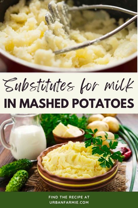 Classic mashed potatoes recipes typically use milk to develop a creamy texture and great flavor. However, if you are on a dairy-free or vegan diet, don't have any milk on hand, or simply don't want to use milk, don't worry! Read on to find out more about common substitutes for milk in mashed potatoes, ratios for substitution, and things to keep in mind while using these in place of milk. Lactose Free Mashed Potatoes, Mashed Potatoes No Milk, Mashed Potatoes Without Milk, Boxed Mashed Potatoes, Cooking Mashed Potatoes, Make Ahead Mashed Potatoes, Classic Mashed Potatoes, Perfect Mashed Potatoes, Homemade Mashed Potatoes