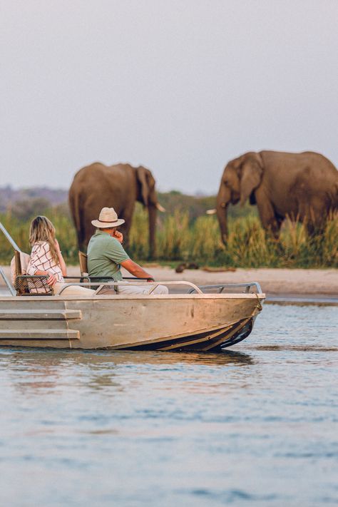 Zambia's Lower Zambezi National Park is an adventurous traveller's dream! We love all the exciting activities on offer here! Zambia Aesthetic, Zambia Safari, Safari Holiday, Client Profile, Deco Studio, Victoria Falls, Southern Africa, Nature Reserve, Zambia