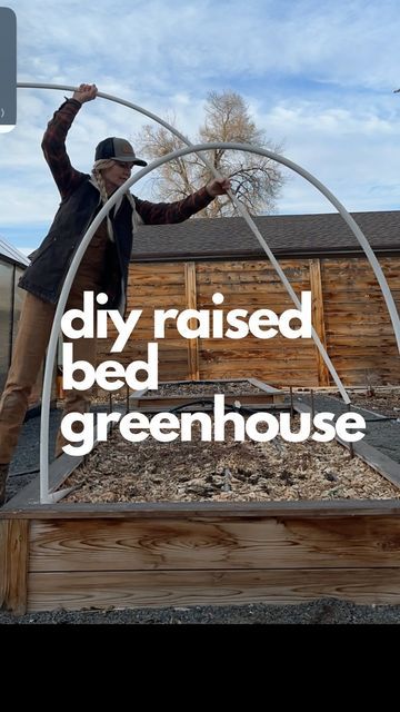 Easy Diy Greenhouse, Greenhouse Heater, Raised Bed Greenhouse, Greenhouse Kits For Sale, Greenhouse Panels, Greenhouse Heaters, Glass Greenhouse, Cold Frames, Build A Greenhouse