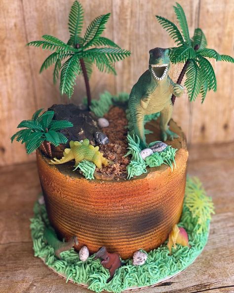 Lindsey Moffitt on Instagram: “I absolutely love making dinosaur cakes 🦖 . . . . . #cupcakesbylindsey #ohio #columbusohio #cbus #ohiomade #asseenincolumbus #cake #caked…” Layered Cake Ideas, Dinosaur Cakes, Dinosaur Birthday Cake, Sprinkles Birthday Cake, Dinosaur Birthday Cakes, Birthday Cakes For Teens, Cupcake Birthday Cake, Birthday Cakes For Women, Dinosaur Cake