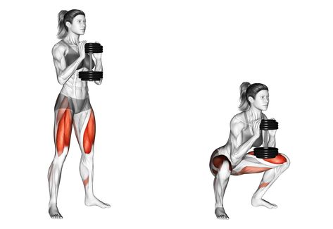 The squat, a fundamental compound movement, is a cornerstone of lower body development. It engages multiple muscle groups simultaneously, fostering strength, stability, and flexibility. Now, imagine supercharging this foundational exercise by incorporating dumbbells. In this guide, we'll explore the nuances of the Squat with Dumbbells – a versatile and effective variation that offers a fresh perspective on traditional squatting. Dumbell Squats, Lunges With Weights, Abdominal Stretches, Leg Exercise, Squat Variations, Dumbbell Squat, Barbell Squat, Squats And Lunges, Goblet Squat