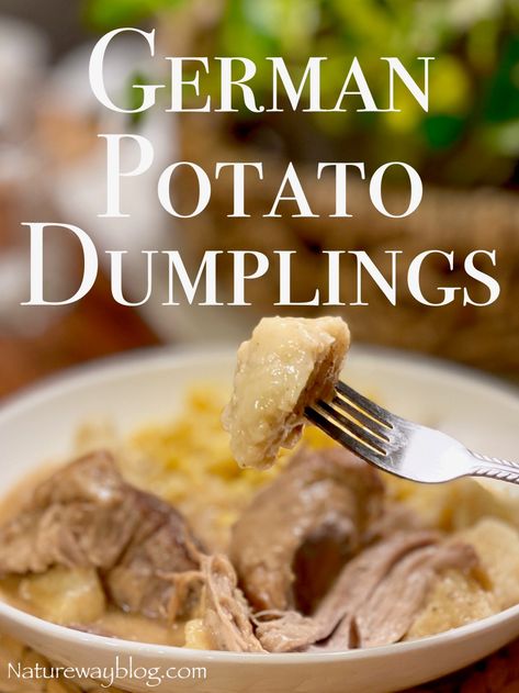 How To Make Traditional German Potato Dumplings (Gekochte Kartoffelklosse) - Nature Way Austrian Dumplings, Potato Dumplings German, German Cuisine Recipes, German Potato Dumplings, German Dumplings, Traditional German Desserts, German Side Dishes, Traditional German Food, One Potato