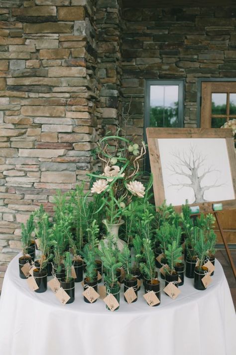 Tree Themed Wedding, Tree Wedding Favors, Tree Favors, Plant Wedding Favors, Campground Wedding, Winter Wedding Favors, Rachel Smith, Bridal Favors, Camp Wedding