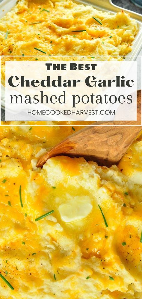 Garlic Potato Casserole, Flavoured Mashed Potatoes, Cheese Garlic Mashed Potatoes, Homemade Cheesy Mashed Potatoes, Mashed Potatoes With Yellow Potatoes, Garlic Cheddar Mashed Potatoes, Best Cheesy Mashed Potatoes, Baked Garlic Mashed Potatoes, Garlic Cheesy Potatoes