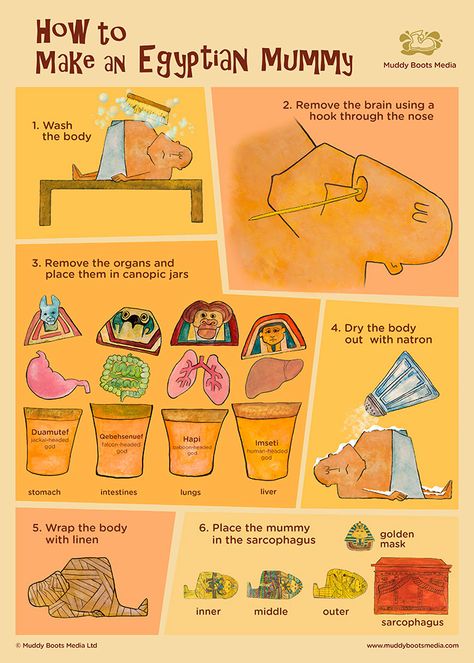 Making A Mummy Ancient Egypt, Middle School Egypt Projects, How To Make A Sarcophagus, Ancient Egypt Ks2, Mummification Project For Kids, Ancient Egypt Activities Middle School, Ancient Egypt Homeschool, Egypt School Projects For Kids, Ancient Egypt Activities For Kids