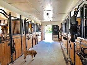 Den Vita Drömgården: Rent och snyggt i stall och sadelkammare Luxury Horse Stables, Luxury Horse, Enclosure Ideas, Dream Yard, Horse Stables, Horse Farms, Stables, Equestrian, Yard