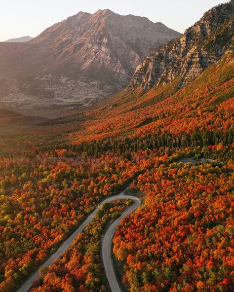 Karlie Place (@karlieplace) • Instagram photos and videos Camping Area, Scenic Byway, Autumn Scenery, Fall Travel, Scenic Routes, Local Guide, Fall Photos, Fall Foliage, Light Photography