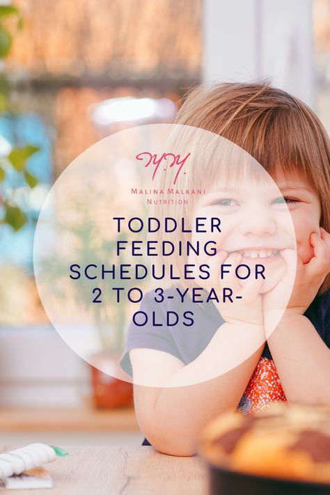 When parents are responsive feeders, a feeding schedule for 2-3 year old toddlers can help encourage healthier eating habits. Here's what you need to know. Toddler Eating Schedule, Beans For Babies, Baby Food Allergies, Healthier Eating Habits, Toddler Nutrition, Meal Calendar, Meal Schedule, Eating Schedule, Toddler Schedule