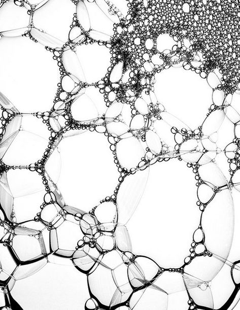 Robin Broadbent Photography Monochrome Color, Organic Pattern, Backgrounds Wallpapers, Things Under A Microscope, Art And Illustration, Natural Forms, Mark Making, White Photo, Patterns In Nature