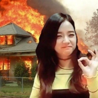 Blackpink Memes, Rose Pictures, Hidden Love, Blackpink Funny, Blackpink Jisoo, بلاك بينك, Photo Cards, Cute Cats, Cool Girl