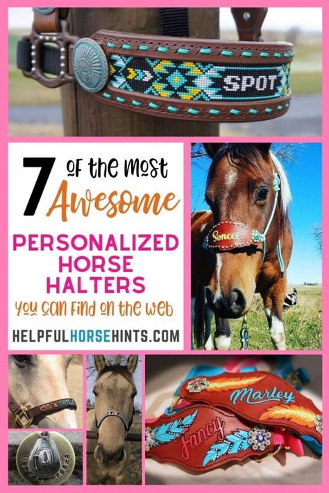 Every horse needs to wear a halter but, that halter doesn't have to always be plain. These 7 personalized horse halters are amazingly beautiful! Customize one for your own horse or to give as a gift.  7 of the Most Awesome Personalized Horse Halters on the Web | Helpful Horse Hints Horse Obstacles, Bronc Halter, Western Ideas, Barn Hacks, Western Pleasure Horses, Barrel Racing Saddles, Horse Products, Hay Bag, Horse Halters