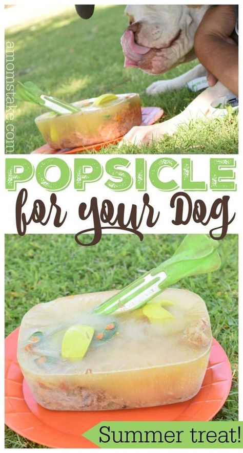 Pupsicles Dog, Easy Summer Treats, Summer Dog Treats, Dog Popsicles, Frozen Dog Treats, Healthy Budget, Dog Biscuit Recipes, Easy Dog Treats, Frozen Dog