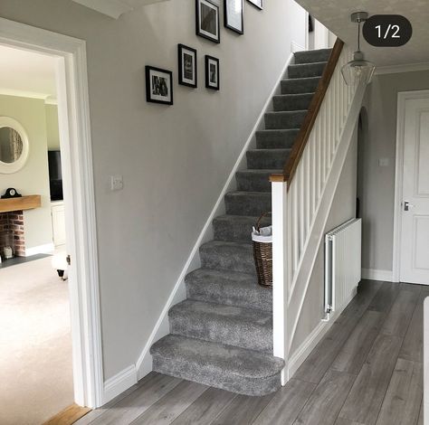 Grey And White Hallway, Grey Carpet Hallway, Grey Stair Carpet, Stairway Carpet, Entrance Hall Decor, Carpet Staircase, Gray Stairs, Hall Colour, Staircase Interior Design