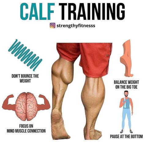 Calf Training, Back Workout Men, Keto Bodybuilding, Bodybuilding Memes, Lower Leg Muscles, Big Calves, Short Workouts, Big Legs, Workout Results