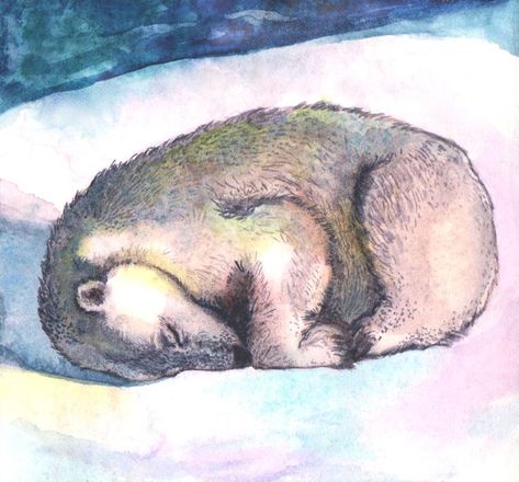 Watercolor sleeping polar bear Bear Sleeping Drawing, Sleeping Bear Tattoo, Sleeping Bear Drawing, Sleeping Bear Illustration, Sleeping Drawing, Bday Pics, Bear Sketch, Story Illustration, Kids At Heart