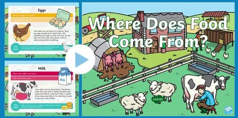 Where Food Comes From Activities, Agriscience Lessons, Where Does Food Come From Activities, Food Chain And Food Web, Animal Farm Summary, Agronomy Agriculture Education, Math Properties, The Animal Farm Book, Curriculum Design