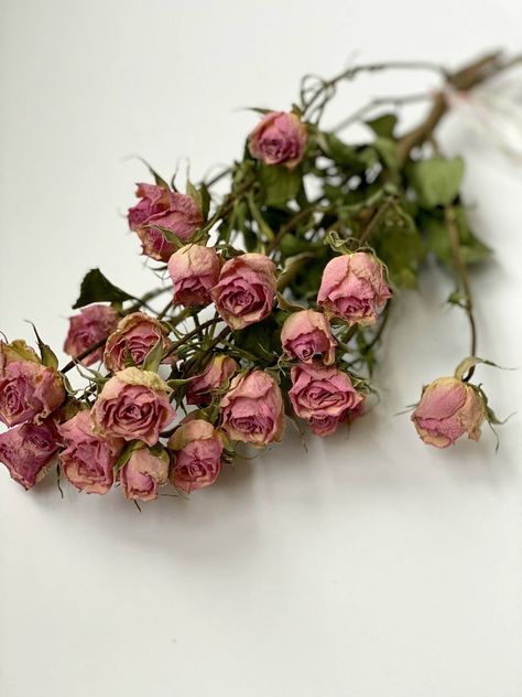 Dried Roses, Shower And Bath, Drying Roses, Mini Roses, Pink Mini, Rose Buds, Flower Shop, Floral Decor, Air Dry