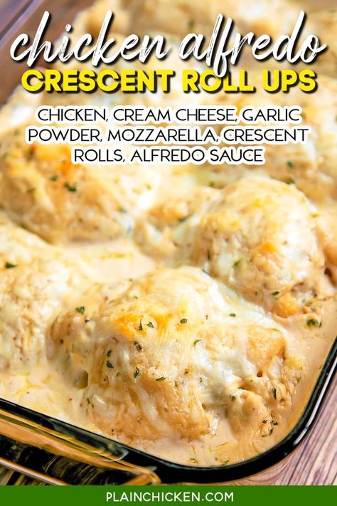 Chicken Alfredo Roll-ups Recipe – chicken, cream cheese, garlic powder, mozzarella, wrapped in crescent rolls and baked in Alfredo sauce. SO good. Serve with pasta/rice and salad or green beans. Quick weeknight meal! You might want to double the recipe - these things fly out of the pan!🐔 Plain Chicken Recipe, Chicken Cream Cheese, Chicken Crescent Rolls, Crescent Recipes, Main Dish Casseroles, Chicken Alfredo Recipes, Pasta Rice, Plain Chicken, Crescent Roll Recipes