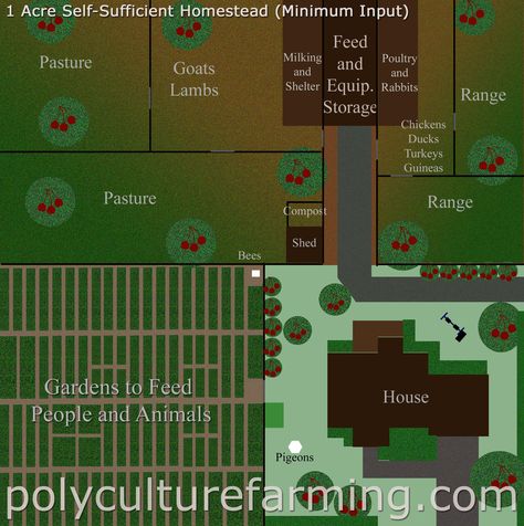 REAL Self-Sufficiency on 1 Acre Integrated Farming, Tiny Homestead, Homestead Layout, Homesteading Animals, Orchard Design, Acre Homestead, Farm Plans, Homestead Farm, Farm Layout