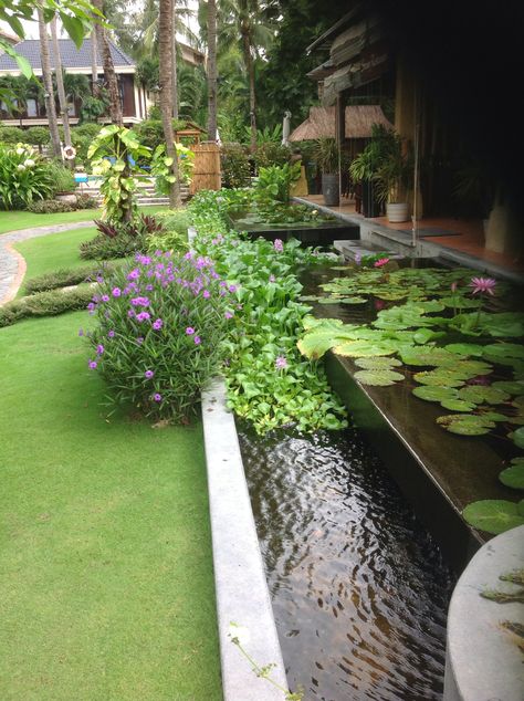 Vietnam garden Thailand Garden Ideas, Thai Garden Design, Terrarium Landscape, Phuket Villa, Hill Villa, Thai Garden, Case Creole, Feng Shui Garden, Tropical Landscape Design