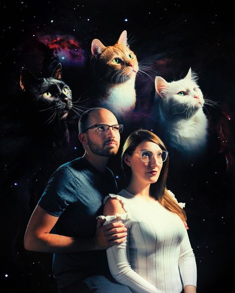 Cat Family Photo, Funny Family Portraits, Cat Family Portrait, Awkward Family Pictures, Funny Photoshoot Ideas, Funny Family Photos, Funny Couple Pictures, Awkward Photos, Awkward Family Photos