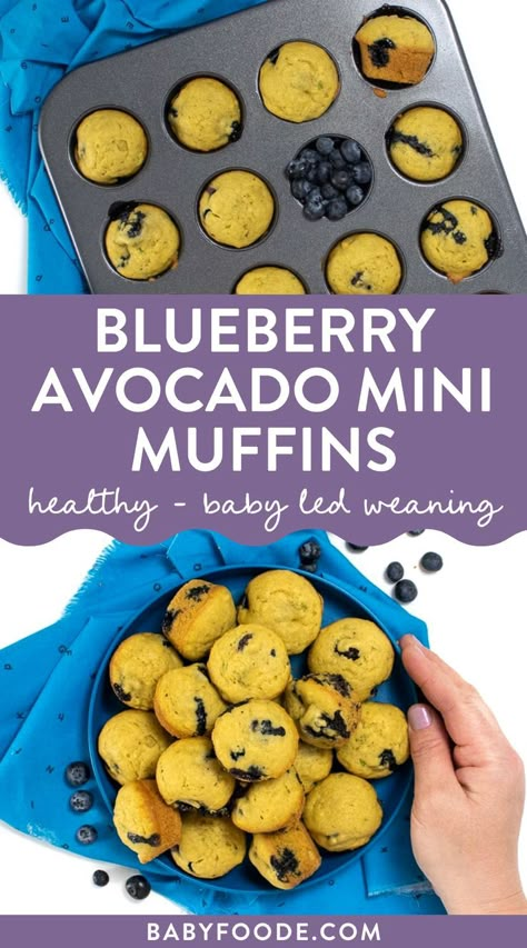 Blw Recipes With Avocado, Smoothie Melts Baby, Blw Muffins Baby Led Weaning, Easy Meals For 7 Month Old, Healthy First Trimester Snacks, 18month Old Food, Mini Blueberry Muffins Healthy, Avocado Blueberry Muffins, Avocado Blw Recipes