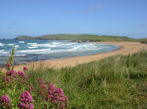 Constantine Bay, near Padstow Seaberry Delight, Pretty Landscapes, Pretty Places, Beach Art, Nature Travel, Dream Vacations, Pretty Pictures, Cornwall, The Great Outdoors