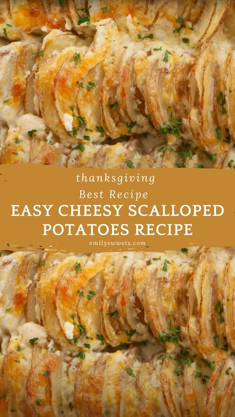 Easy Cheesy Scalloped Potatoes Recipe Thanksgiving Potatoes Side Dishes, Easy Cheesy Scalloped Potatoes Recipe, Easy Thanksgiving Dish, Thanksgiving Potatoes Recipes, Easy Cheesy Scalloped Potatoes, Cheesy Scalloped Potatoes Recipe, Easy Thanksgiving Dinner, Scalloped Potatoes Recipe, Cheesy Scalloped Potatoes