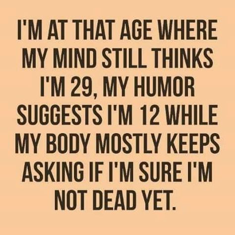 🤷‍♂️ Seniors Activities, Book Sayings, Hat Inspiration, Couple Quotes Funny, Fun Sayings, Chore Charts, Funny Jokes To Tell, Super Funny Quotes, Graduation Quotes