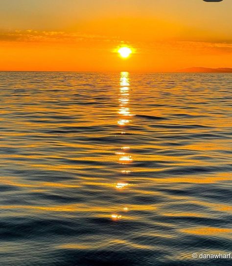 Sunset Reflection On Water, Sunset On Water, Ap Ceramics, Sun And Ocean, Sunset Over Water, Sun Pictures, Colorful Sunsets, Water Sunset, Beach Pics