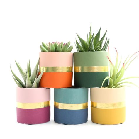 Roundup! The cutest planters for every style of decor - Pencil Shavings StudioPencil Shavings Studio Pots With Plants, Diy Planters Pots, Diy Planters Indoor, Vasos Vintage, Plant Pot Design, Colorful Planters, Plant Pot Diy, نباتات منزلية, Painted Pots Diy