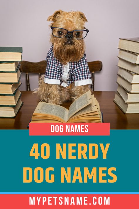 When naming a dog, plenty of people look for options that reflect their personal interests. If you have a nerdy streak, or you have a few geeky interests, why not use them as inspiration for nerdy dog names? Check out our list for ideas.  #nerdydognames #dognames #nerddognames Marvel Dog Names, Famous Mathematicians, Girl Dog Names, Female Dog Names, Cute Corgi Puppy, Dog Wellness, Puppy Names, Corgi Puppy, Nerdy Girl