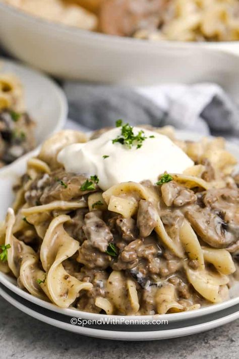 Mushroom stroganoff is a family favorite that is easy to prepare! With staple ingredients like ground beef, egg noodles, and cream of mushroom soup it is also budget-friendly! #spendwithpennies #mushroomstroganoff #creamystroganoffrecipe #maincourse #easygroundbeefrecipe #pastaskillet #30minmeal Creamy Stroganoff Recipe, Easy Mushroom Stroganoff, Mushroom Stroganoff Recipe, Yummy Noodles, Ground Beef Stroganoff, Mushroom Stroganoff, Sunday Dinner Recipes, Mushroom Soup Recipes, Cream Of Mushroom Soup