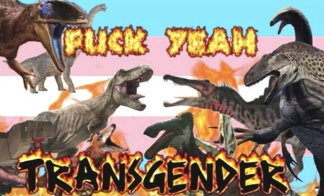 Trans Dinosaur, Lbgt Flag, Trans Pride Flag, Trans Boys, Dinosaur Wallpaper, Trans Flag, Lgbtq Flags, Lgbt Flag, Gay Memes