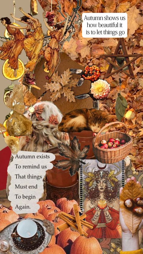 I don’t know why this didn’t upload sooner but happy Mabon Happy Mabon, Begin Again, Creative Journal, Show Us, I Don T Know, Don T Know, How Beautiful, Connect With People, Your Aesthetic