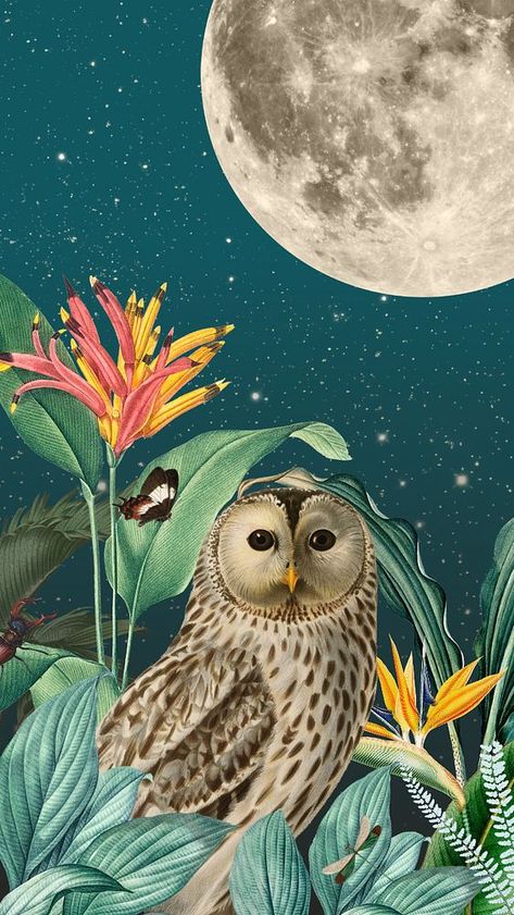 Night owl iPhone wallpaper, vintage animal illustration. Remixed by rawpixel. | premium image by rawpixel.com / ton Owl Iphone Wallpaper, Iphone Wallpaper Forest, Owl Wallpaper Iphone, Vintage Animal Illustration, Birds In Nature, Owl Night, Beach Wallpaper Iphone, Owl Moon, Owl Wallpaper