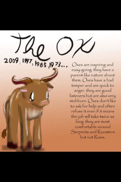 Year of the Ox Chinese Numerology, Chinese New Year Zodiac, Bad Temper, Numerology Chart, Chinese Astrology, Good Listener, Chinese Zodiac Signs, Chinese Zodiac, Astrology Zodiac