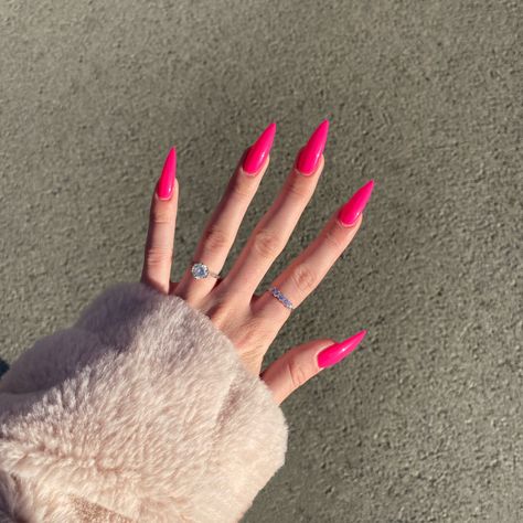 Neon Pink Long Nails, Pointed Pink Nails, Pointy Almond Nails Long, Sharp Nails Pink, Pink Stilleto Nail Designs, Neon Pink Stiletto Nails, Hot Pink Nails Stiletto, Pointy Pink Nails, Hot Pink Aesthetic Nails