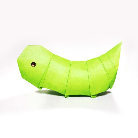 How to make a Paper Caterpillar Easy (Taesung Park) - Paper Crafts Origami  Facebook : http://facebook.com/papercrafts1101 Instagram : http://instagram.com/papercrafts1101 twitter : https://twitter.com/papercrafts1101  #origami #easyorigami #basteln #papercrafts1101 #animalorigami #origamicaterpillar #caterpillarorigami #애벌레종이접기 #종이접기애벌레 #오리가미애벌레 #애벌레오리가미 #origamiraupe #raupeorigami Origami Caterpillar, Origami Garden, Paper Caterpillar, Caterpillar Craft, Crafts Origami, Woodland Birthday, Paper Crafts Origami, Origami Easy, Paper Folding