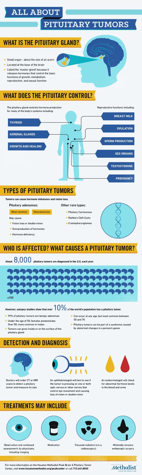 Learn about pituitary tumors & how they're treated. Pituitary Adenoma Awareness, Pituitary Adenoma, Pituitary Gland Tumor, Cushings Syndrome, Pituitary Gland, Addisons Disease, Massage Benefits, Endocrine System, Healing Therapy