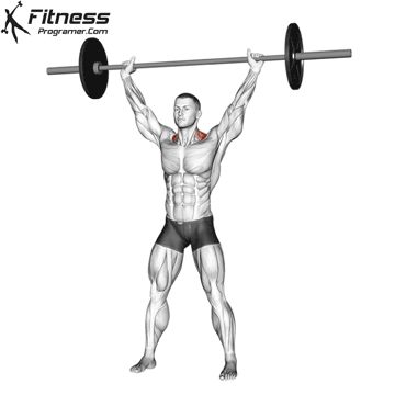 How to do Overhead Shrug Trap Workout, Traps Workout, Free Workout Plans, Personalized Workout Plan, Workout Planner, Effective Exercises, Free Workout, Workout Tips, Free Workouts