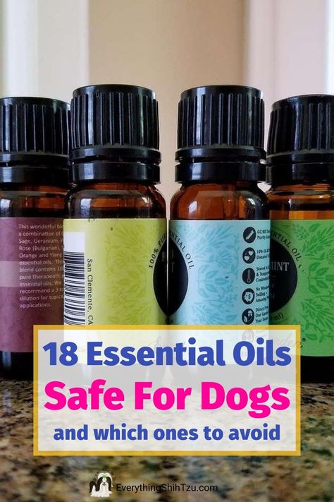 Dog Perfume Diy Essential Oils, Diy Dog Deodorizer Spray Essential Oils, Essential Oils Dogs Not Safe, Essential Oils Bad For Dogs Diffuser, Essential Oils To Avoid With Dogs, Essential Oils Good For Dogs, Diy Dog Shampoo With Essential Oils, Essential Oils That Are Safe For Dogs, Essential Oils Not Safe For Dogs