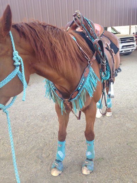 amazing tack saddle:flex tree pad: Won pad original splint boots: Professional choice glitter turquoise splint boots bell boots: Weaver turquoise cross bell boots tack set/head stall and breast collar: Showman hand beaded find @ chicks saddlery Turquoise Tack Set, Horses Tacked Up, Buckskin Horse Tack Color, Horse Splint Boots, Turquoise Horse Tack, Sorrel Horse Tack Colors, Bell Boots For Horses, Teal Horse Tack, Red Horse Tack