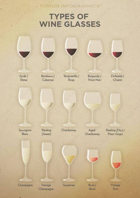 Types Of Wine Glasses, Art Du Vin, Wine Course, Different Types Of Wine, Wine Knowledge, Dining Etiquette, Wine Education, Different Wines, Wine Guide