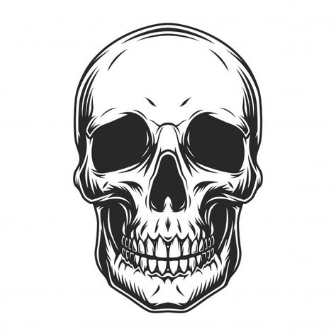 Vintage human skull concept | Free Vector #Freepik #freevector #vintage #retro #skull #human Skull Template, Skull Stencil, Prison Tattoos, Skull Art Drawing, Skulls Drawing, Skull Illustration, Skull Tattoo Design, Skull Sticker, Skull Artwork