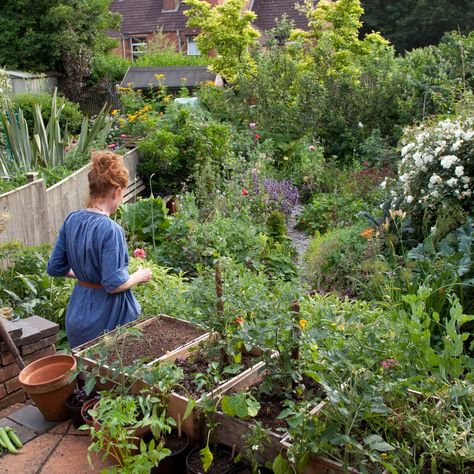 Allotment Design, Alys Fowler, Potager Garden, Veg Garden, Vegetable Garden Design, Cabins And Cottages, Farm Gardens, Garden Spaces, Balcony Garden